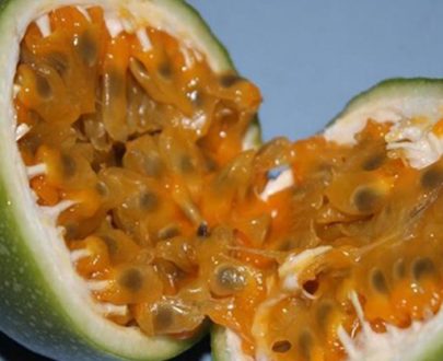 Le Fruit de Passion