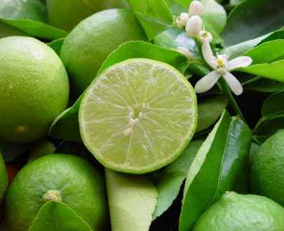 LIME MEXICAINE